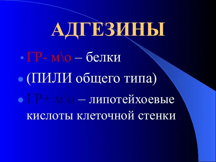 АДГЕЗИНЫ ГР- м\о – белки (ПИЛИ общего типа) ГР+ м\о – липотейхоевые кислоты клеточной стенки