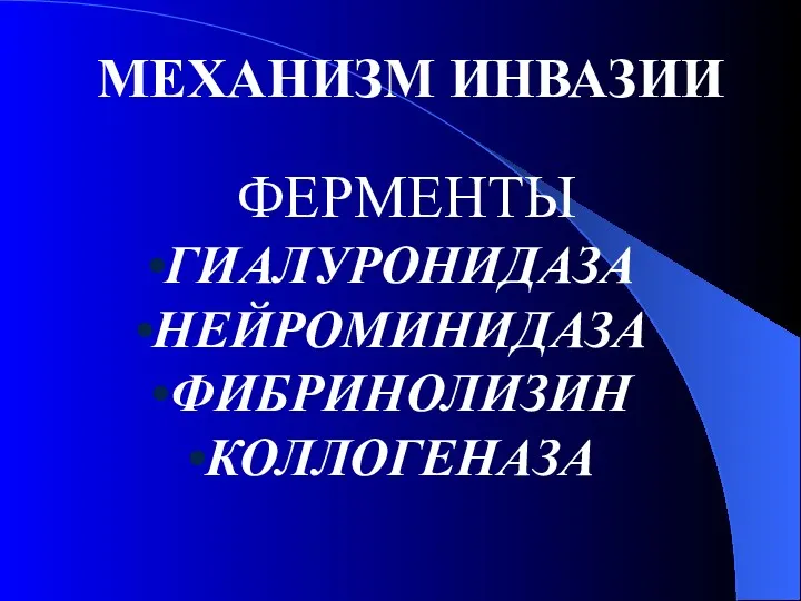 МЕХАНИЗМ ИНВАЗИИ ФЕРМЕНТЫ ГИАЛУРОНИДАЗА НЕЙРОМИНИДАЗА ФИБРИНОЛИЗИН КОЛЛОГЕНАЗА