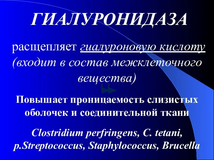 ГИАЛУРОНИДАЗА расщепляет гиалуроновую кислоту (входит в состав межклеточного вещества) Повышает