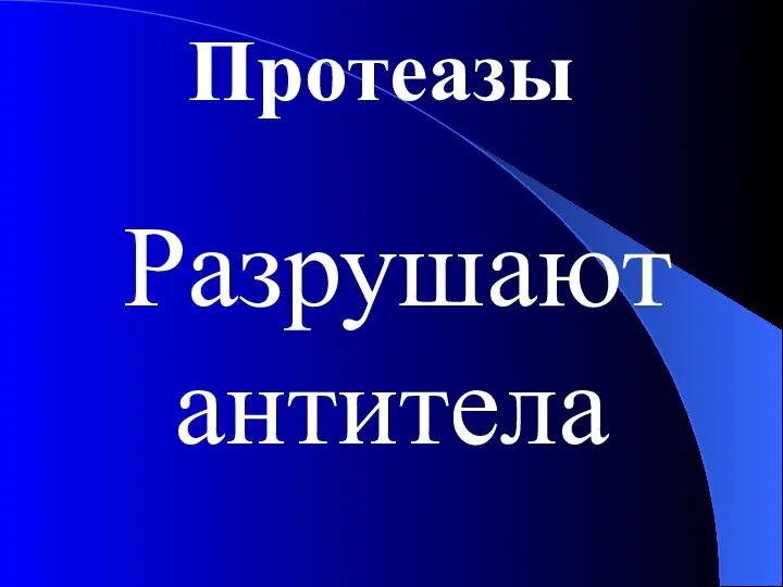 Протеазы Разрушают антитела