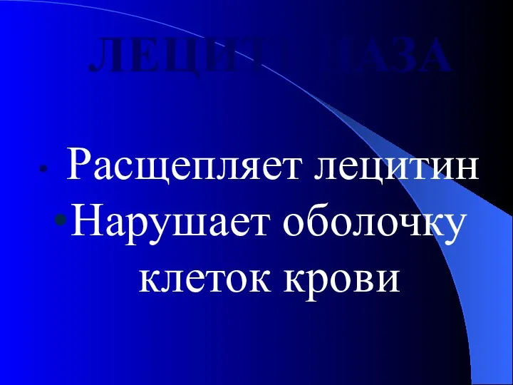 ЛЕЦИТИНАЗА Расщепляет лецитин Нарушает оболочку клеток крови