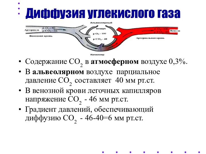 Диффузия углекислого газа Содержание СО2 в атмосферном воздухе 0,3%. В