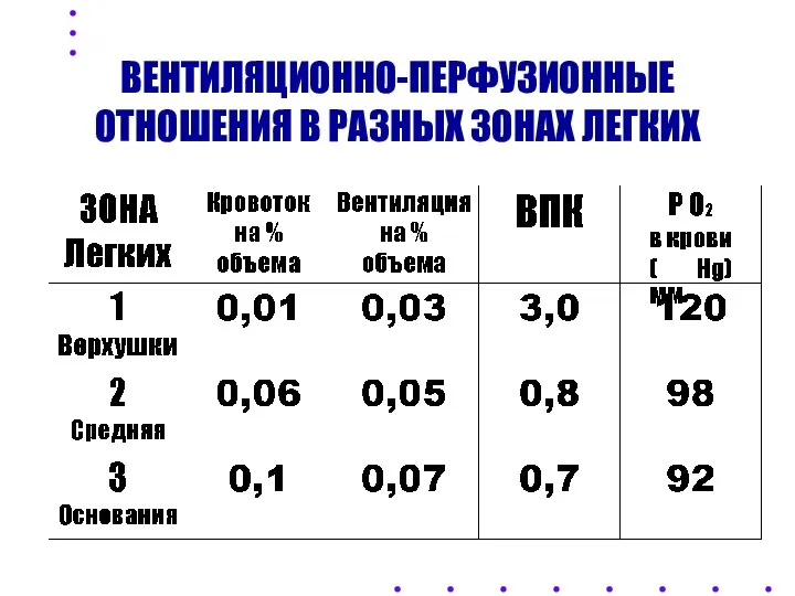 ВЕНТИЛЯЦИОННО-ПЕРФУЗИОННЫЕ ОТНОШЕНИЯ В РАЗНЫХ ЗОНАХ ЛЕГКИХ