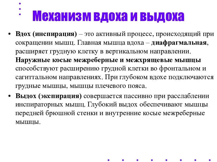 Механизм вдоха и выдоха Вдох (инспирация) – это активный процесс,