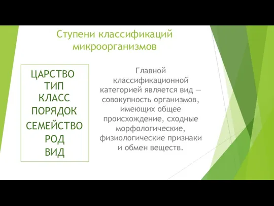 Ступени классификаций микроорганизмов Главной классификационной категорией является вид — совокупность