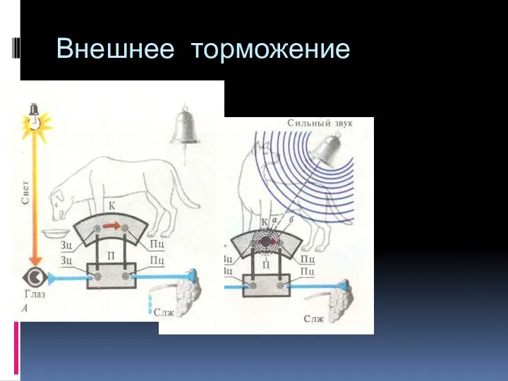 Внешнее торможение