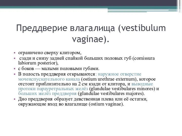 Преддверие влагалища (vestibulum vaginae). ограничено сверху клитором, сзади и снизу