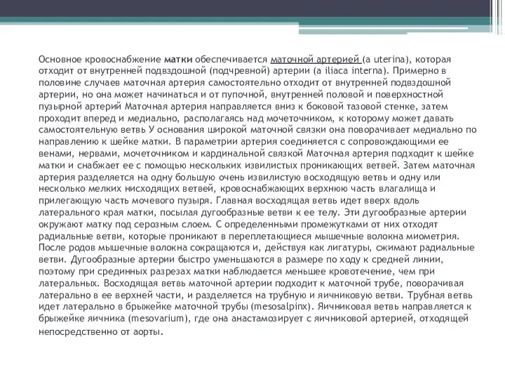 Основное кровоснабжение матки обеспечивается маточной артерией (a uterina), которая отходит