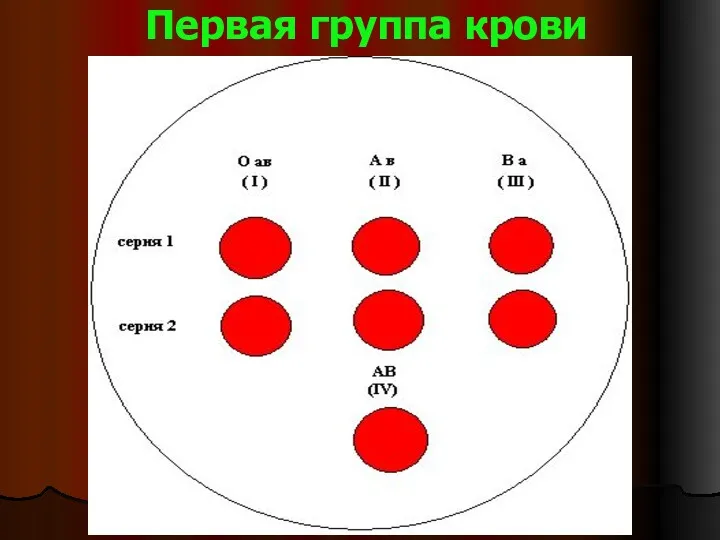 Первая группа крови