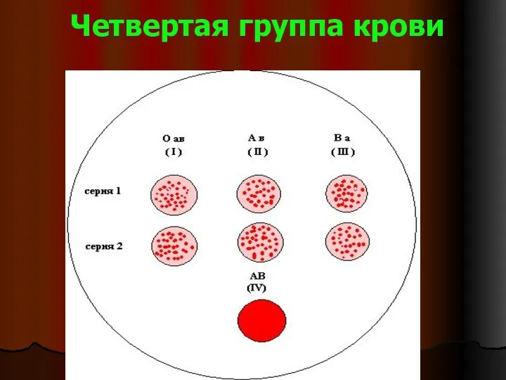 Четвертая группа крови