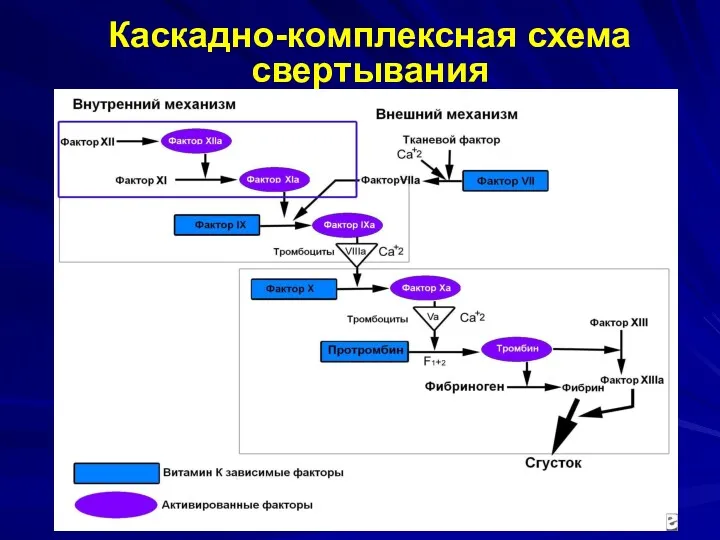 Каскадно-комплексная схема свертывания