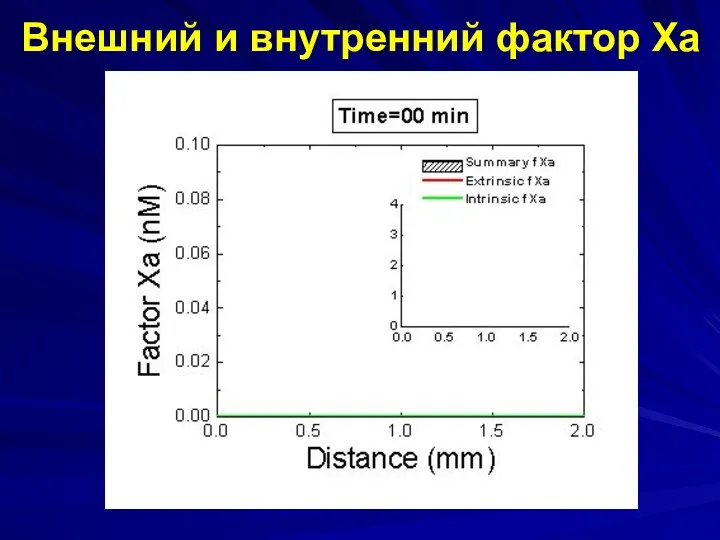 Внешний и внутренний фактор Ха