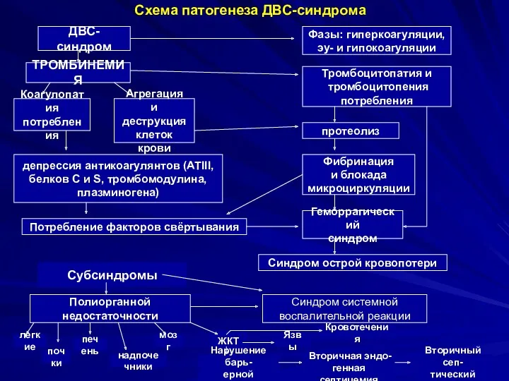 Схема патогенеза ДВС-синдрома ДВС-синдром Фазы: гиперкоагуляции, эу- и гипокоагуляции ТРОМБИНЕМИЯ