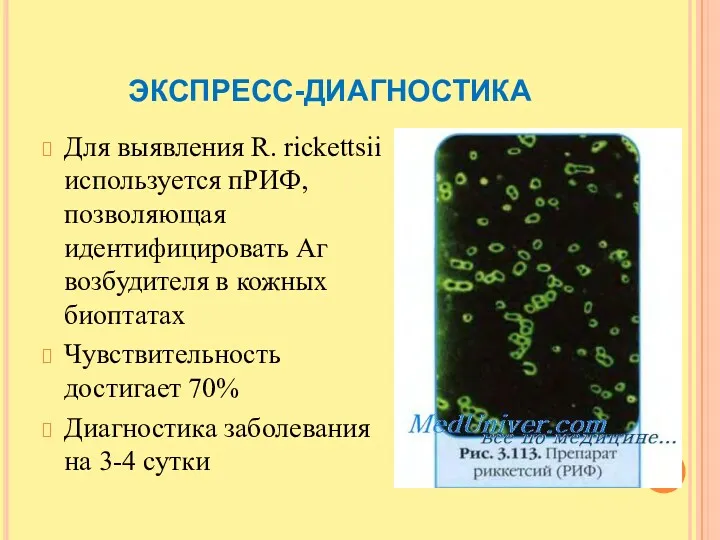 ЭКСПРЕСС-ДИАГНОСТИКА Для выявления R. rickettsii используется пРИФ, позволяющая идентифицировать Аг