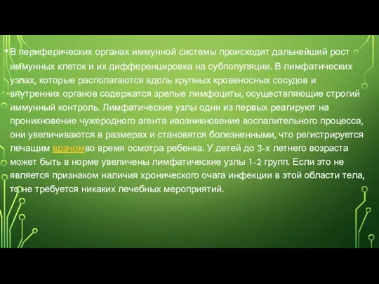 В периферических органах иммунной системы происходит дальнейший рост иммунных клеток