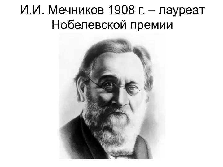 И.И. Мечников 1908 г. – лауреат Нобелевской премии