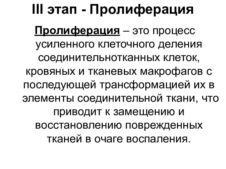 III этап - Пролиферация Пролиферация – это процесс усиленного клеточного деления соединительнотканных клеток,