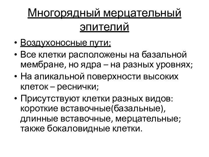 Многорядный мерцательный эпителий Воздухоносные пути; Все клетки расположены на базальной