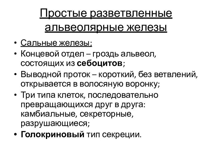 Простые разветвленные альвеолярные железы Сальные железы; Концевой отдел – гроздь