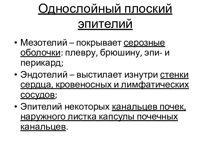 Однослойный плоский эпителий Мезотелий – покрывает серозные оболочки: плевру, брюшину,