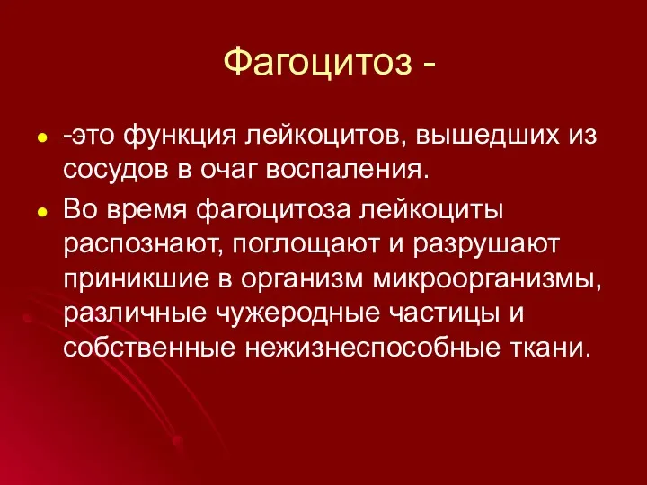 Фагоцитоз - -это функция лейкоцитов, вышедших из сосудов в очаг