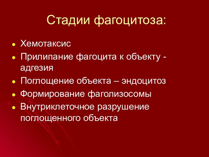 Стадии фагоцитоза: Хемотаксис Прилипание фагоцита к объекту - адгезия Поглощение