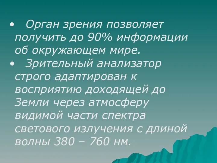 Орган зрения позволяет получить до 90% информации об окружающем мире.