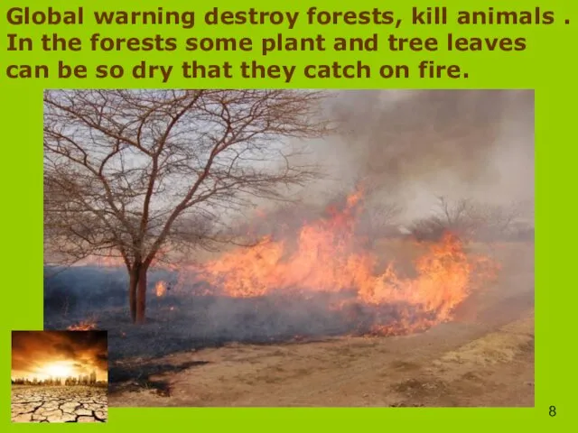 Global warning destroy forests, kill animals . In the forests