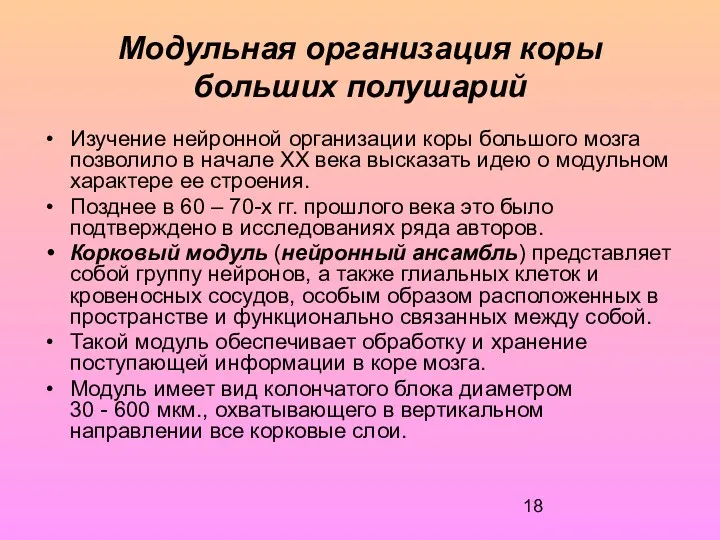 Модульная организация коры больших полушарий Изучение нейронной организации коры большого