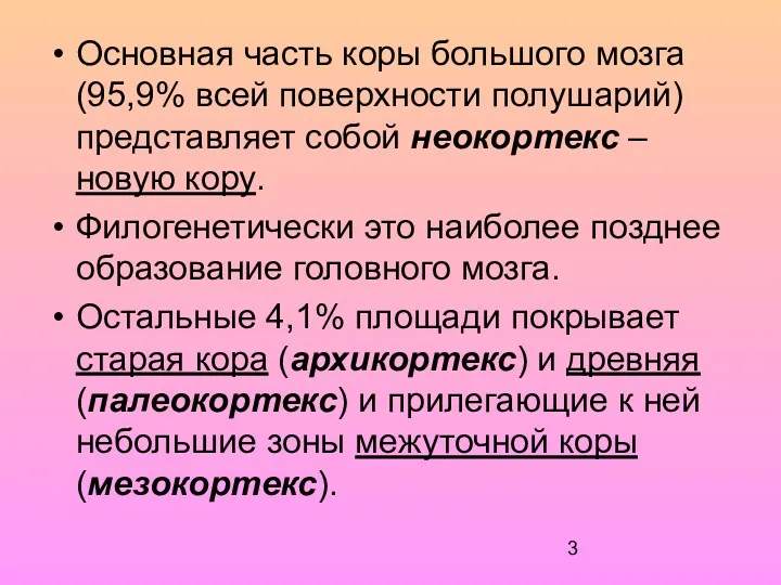 Основная часть коры большого мозга (95,9% всей поверхности полушарий) представляет собой неокортекс –