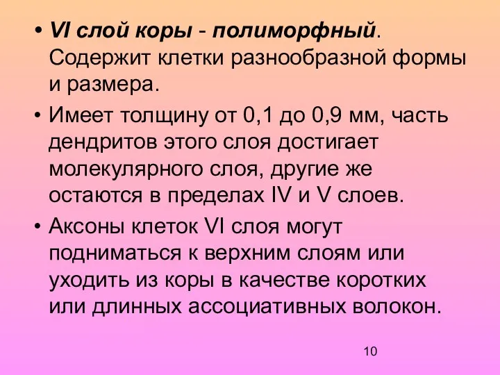 VI слой коры - полиморфный. Содержит клетки разнообразной формы и размера. Имеет толщину