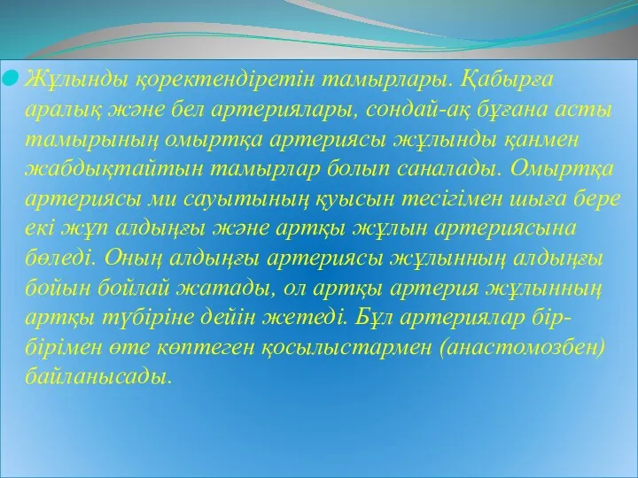 Жұлынды қоректендіретін тамырлары. Қабырға аралық және бел артериялары, сондай-ақ бұғана