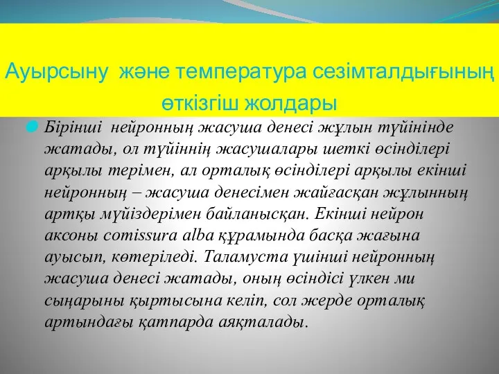 Ауырсыну және температура сезімталдығының өткізгіш жолдары Бірінші нейронның жасуша денесі