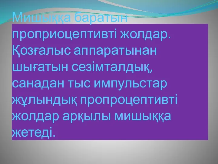 Мишыққа баратын проприоцептивті жолдар. Қозғалыс аппаратынан шығатын сезімталдық, санадан тыс