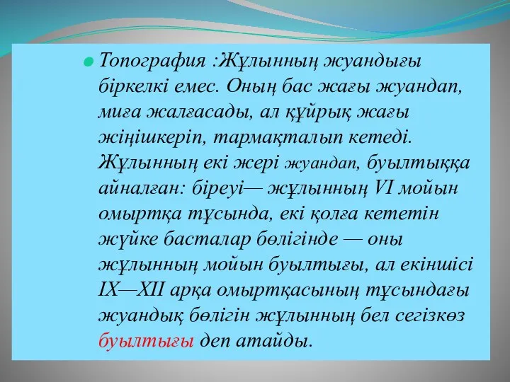 Топография :Жұлынның жуандығы біркелкі емес. Оның бас жағы жуандап, миға