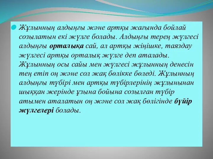 Жұлынның алдыңғы және артқы жағында бойлай созылатын екі жүлге болады.