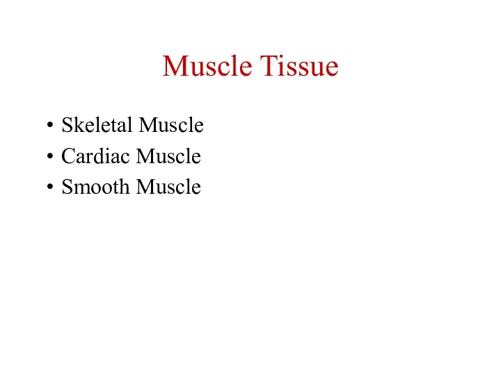 Muscle Tissue Skeletal Muscle Cardiac Muscle Smooth Muscle