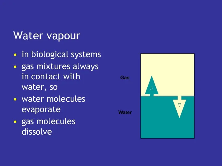 Water vapour in biological systems gas mixtures always in contact