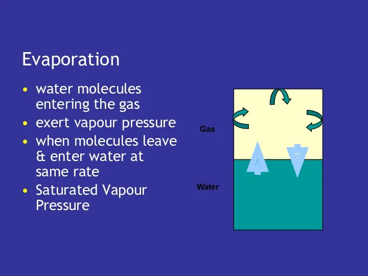 Evaporation water molecules entering the gas exert vapour pressure when
