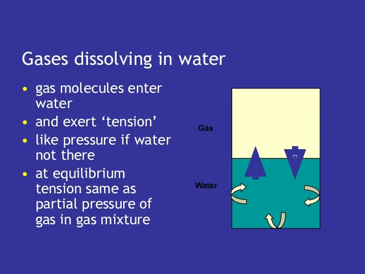 Gases dissolving in water gas molecules enter water and exert