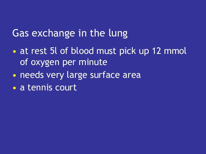 Gas exchange in the lung at rest 5l of blood