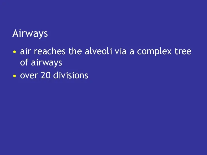 Airways air reaches the alveoli via a complex tree of airways over 20 divisions