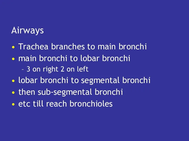 Airways Trachea branches to main bronchi main bronchi to lobar