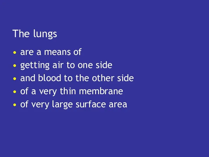 The lungs are a means of getting air to one