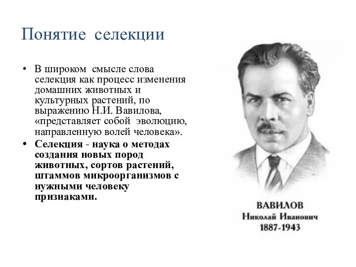 Понятие селекции В широком смысле слова селекция как процесс изменения