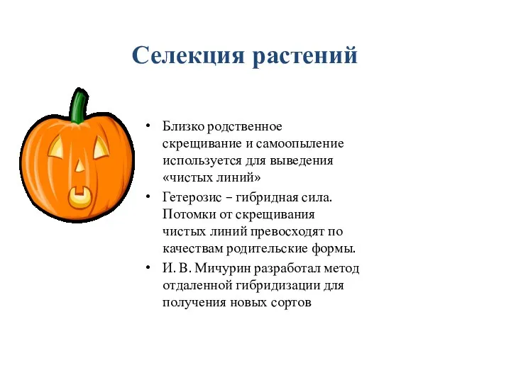 Селекция растений Близко родственное скрещивание и самоопыление используется для выведения