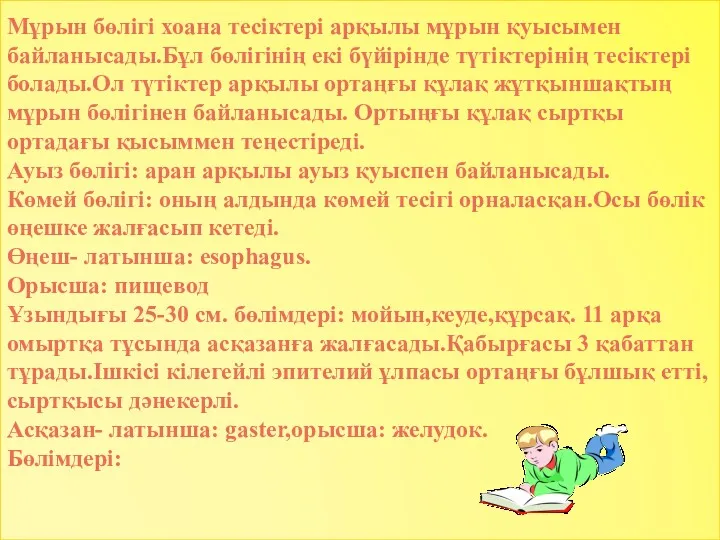 Мұрын бөлігі хоана тесіктері арқылы мұрын қуысымен байланысады.Бұл бөлігінің екі