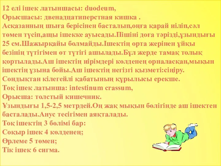 12 елі ішек латыншасы: duodeum, Орысшасы: двенадцатиперстная кишка . Асқазанның