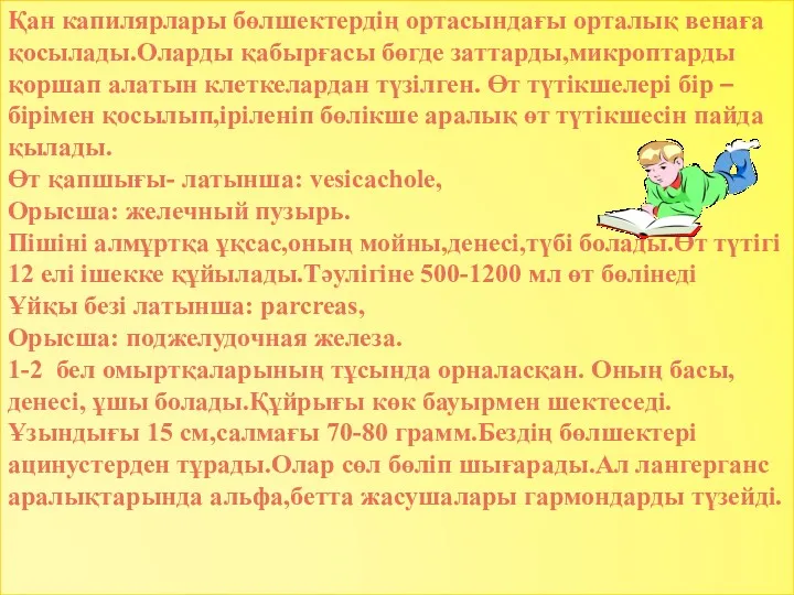 Қан капилярлары бөлшектердің ортасындағы орталық венаға қосылады.Оларды қабырғасы бөгде заттарды,микроптарды