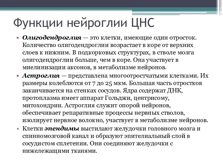 Функции нейроглии ЦНС Олигодендроглия — это клетки, имеющие один отросток.